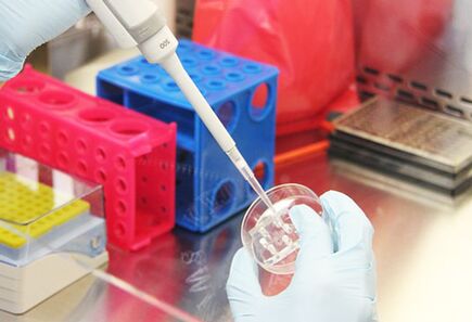 Exame dos exames da paciente antes de realizar a mamoplastia de aumento